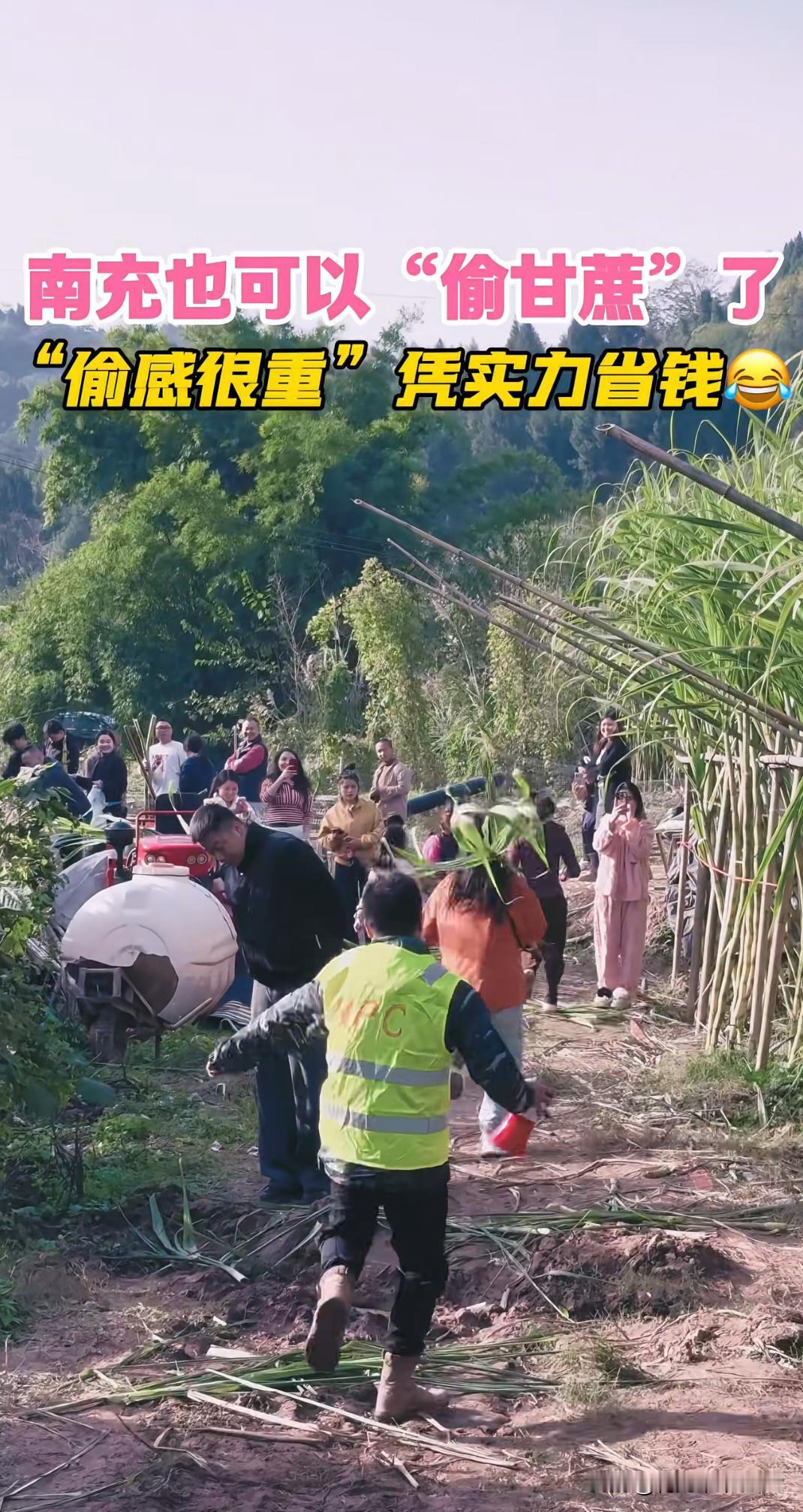 南充市这个农场偷甘蔗田园体验很不错。这个游戏可以对赌，逮住了两倍，逮不