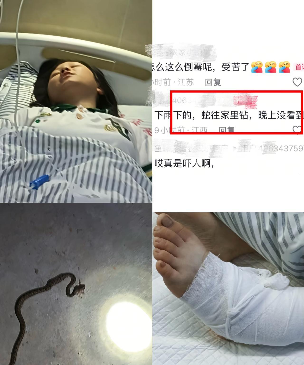 恐怖，毒蛇钻家里咬人，事发吉安，由于下雨天气，一条原矛头蝮爬进一户居民家中，咬到