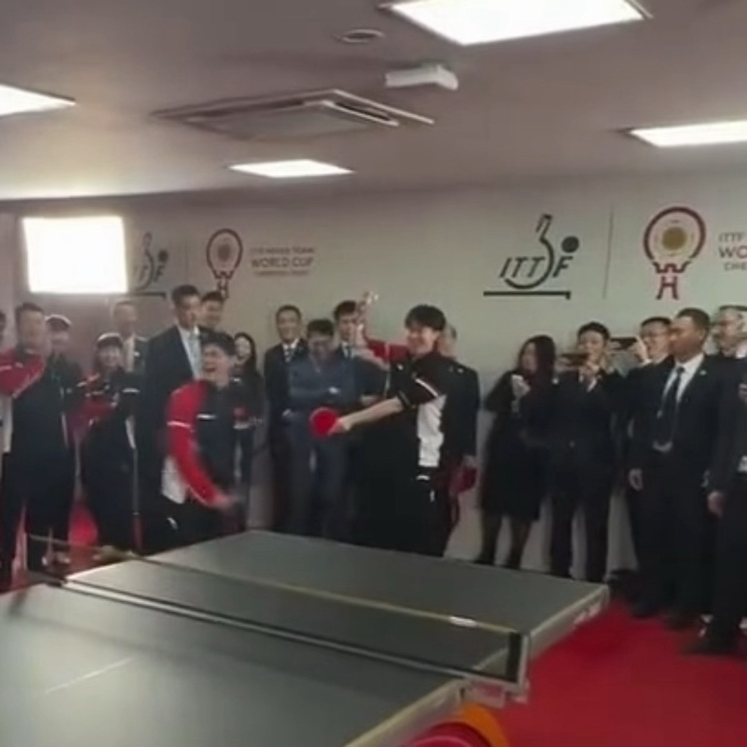 此狗情商极高也超会调节氛围把大家逗的很开心