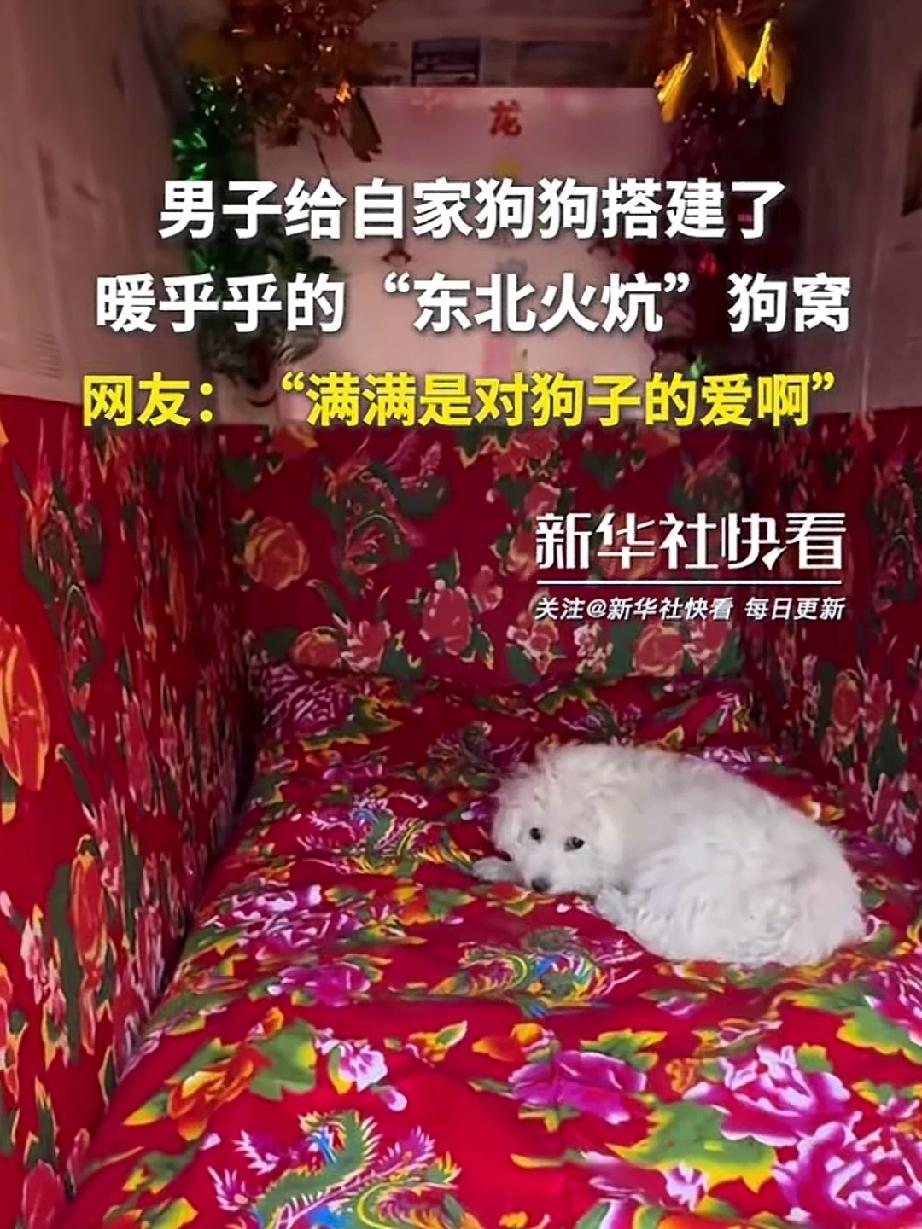 东北第一个带火炕的狗窝！主人真疼这小狗子，天冷了怕小狗冻着，于是，自