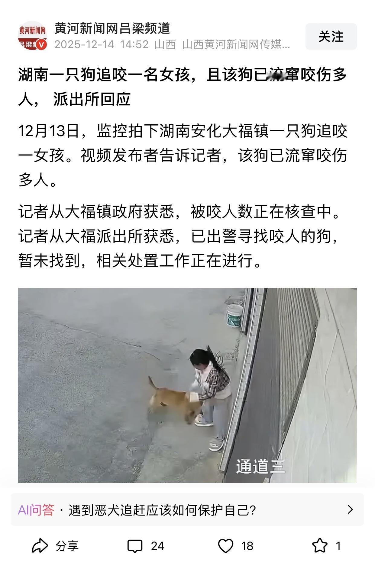 发现一个被很多人忽略的事实：呼吁保护流浪狗的人基本上从不会出现在流浪狗伤人的消