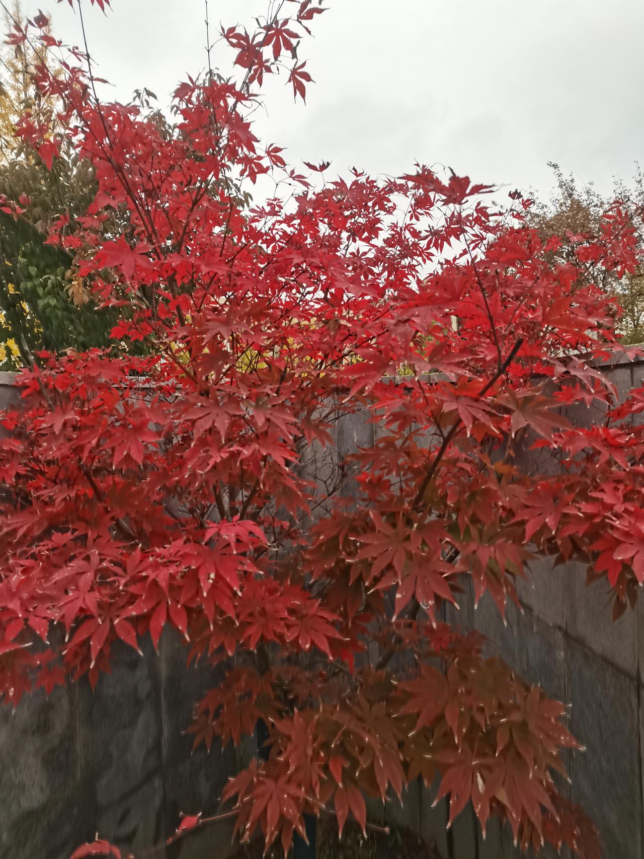 紧急提醒！这4类电话千万别接！90%的人都踩过坑！一定要警惕这4类诈骗电话