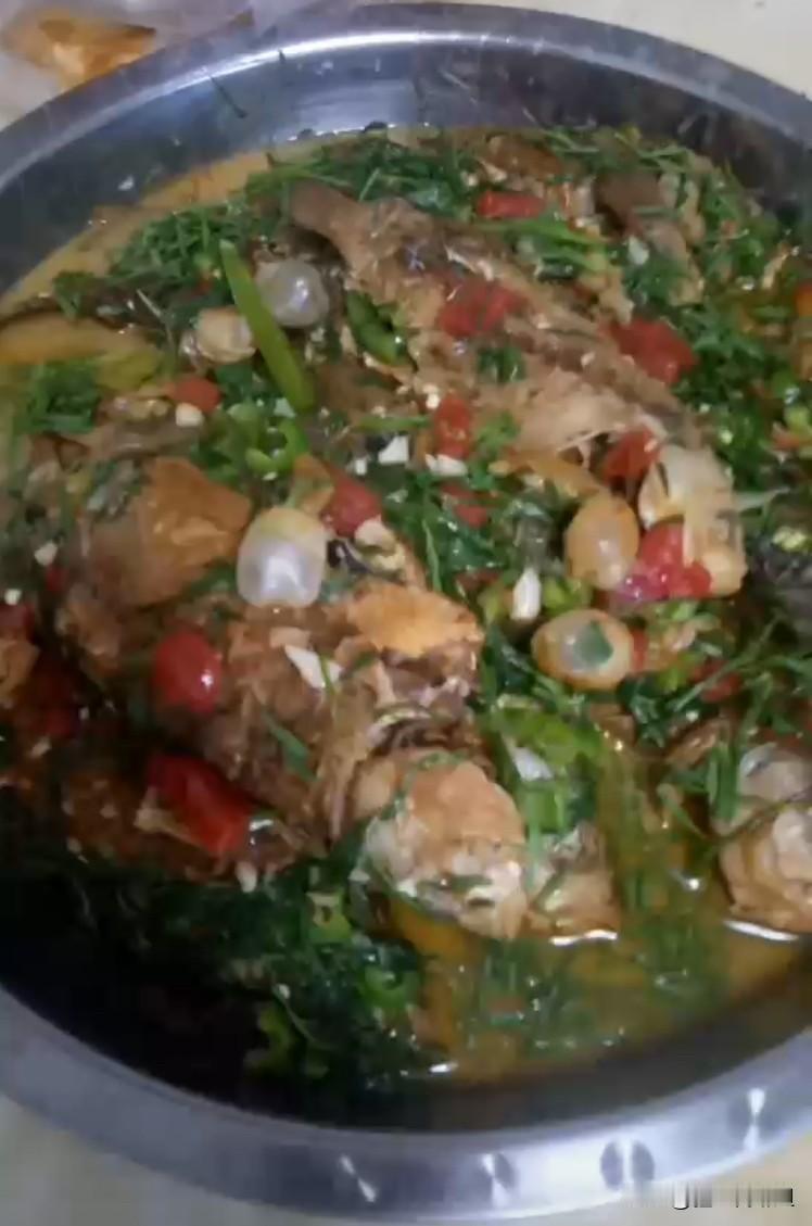 回到娘家，我就赶快跑到妹妹的菜地，看看她地里种的椒蒿长得怎么样了？妹妹地里的