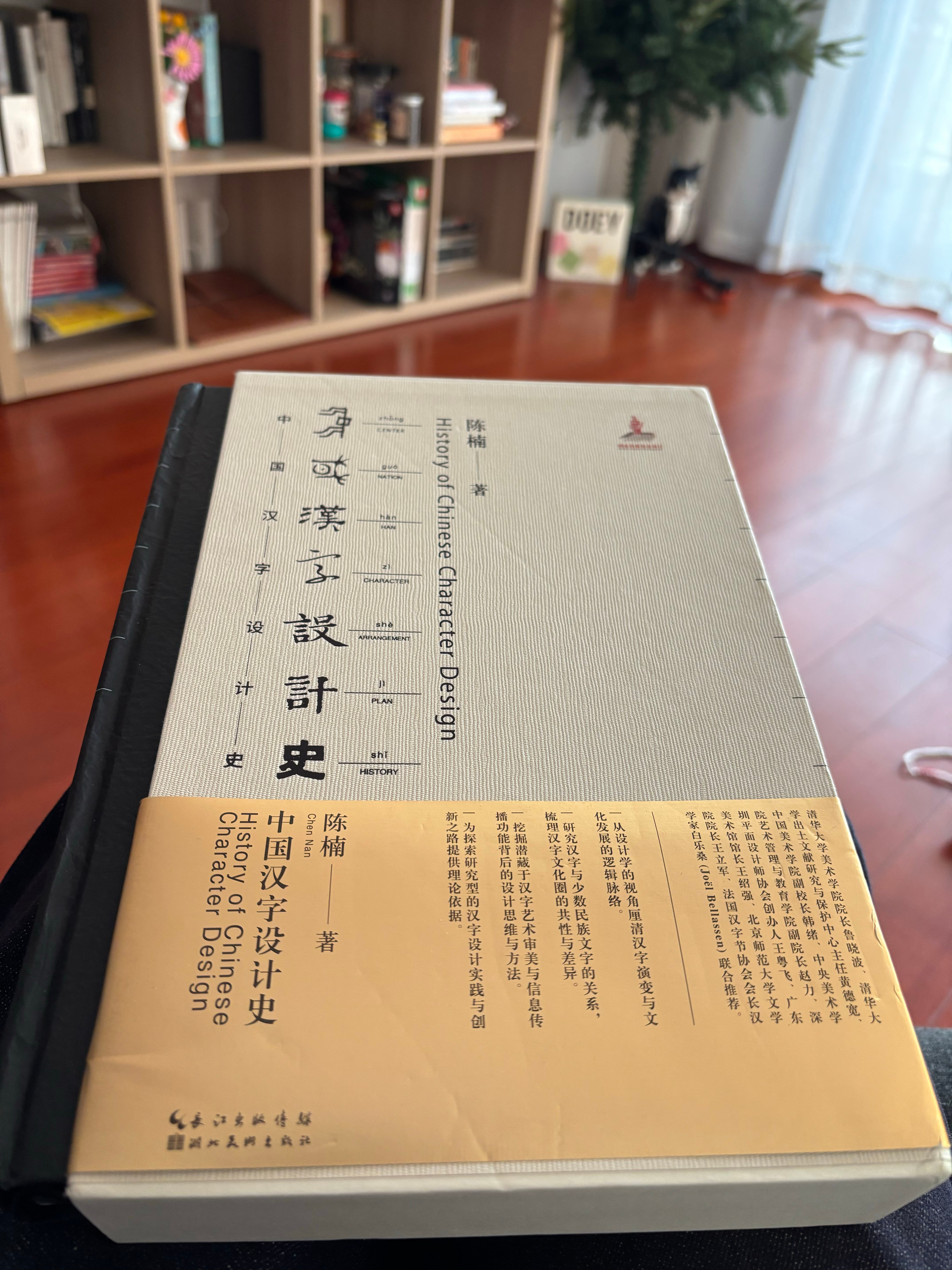 去年的设计论坛种草了清华美院陈楠老师写得《中国汉字设计史》，仔细想想，甲骨文算不