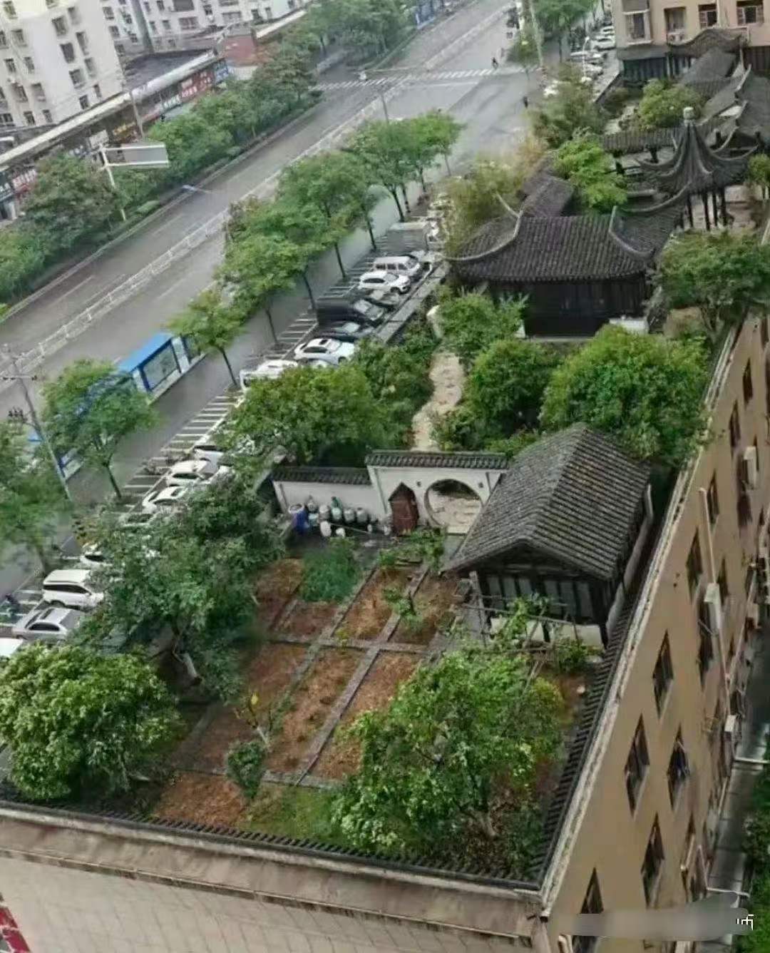 这样的环境，给五百万都不卖啊​​​