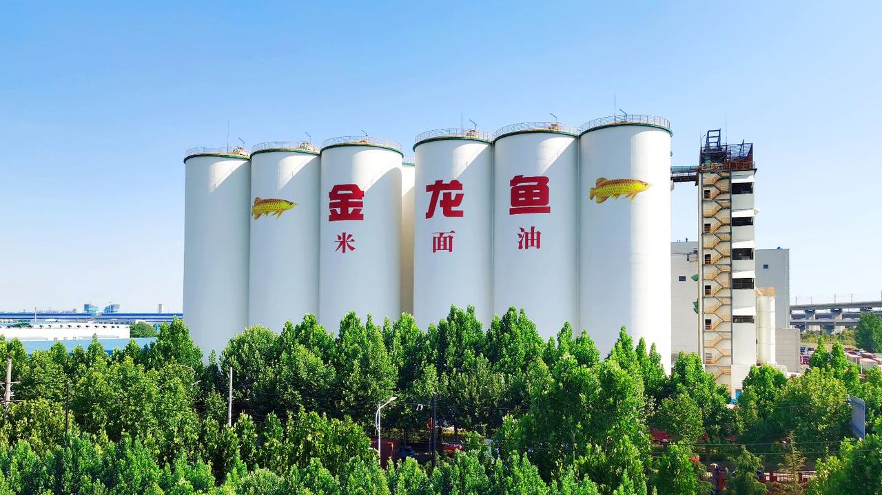 震惊！金龙鱼被罚了18亿这事和黄循财有关！黄循财干了不少蠢事！跟着日本