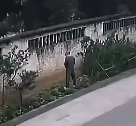 不知道下次他还敢不敢在墙边尿了