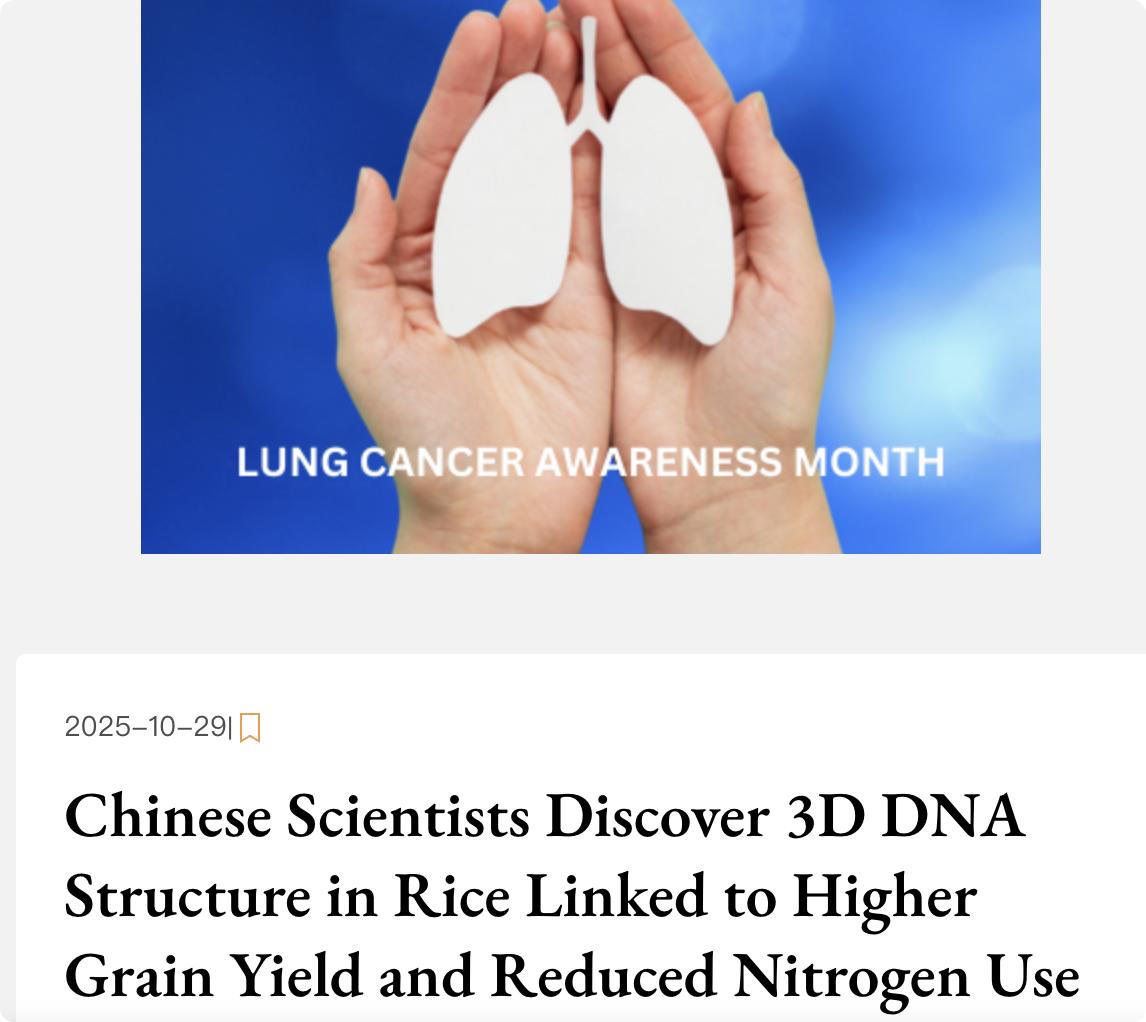 外媒：中国科学家在水稻中发现了一种新的三维DNA结构，这种结构能够使水稻在减少氮