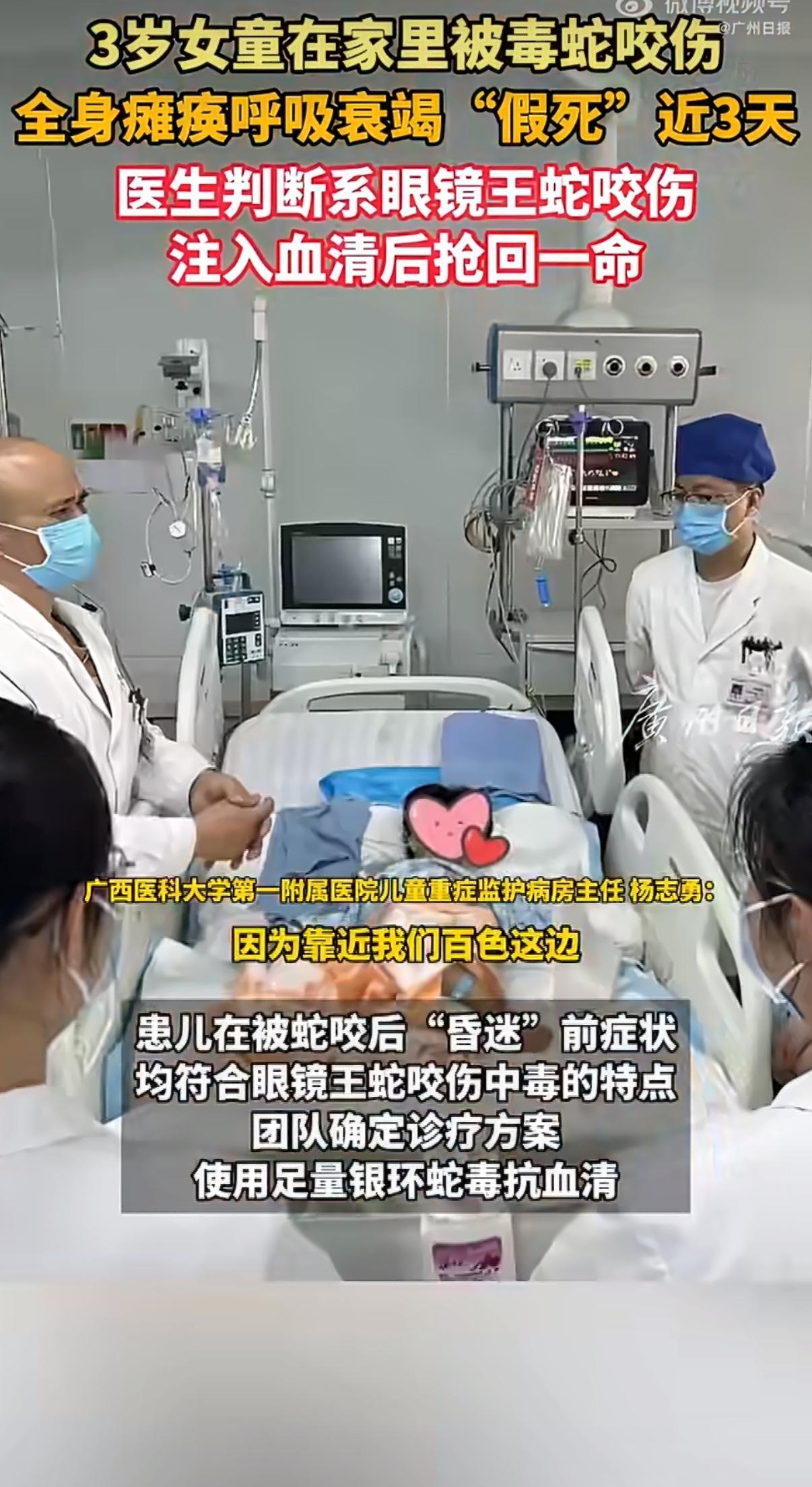 最近云南文山一个3岁小女孩被咬半小时送医时，已经全身瘫软、呼吸衰竭，对外界一点反