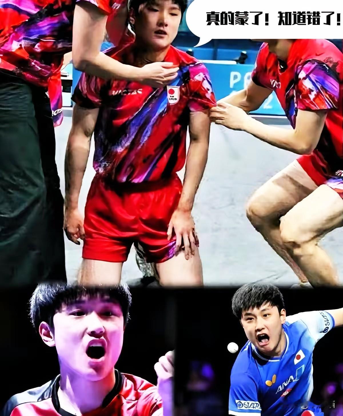 再会做人，也抵不过一次越界。日本乒协世界杯团体赛名单一公布，不少人都惊了——