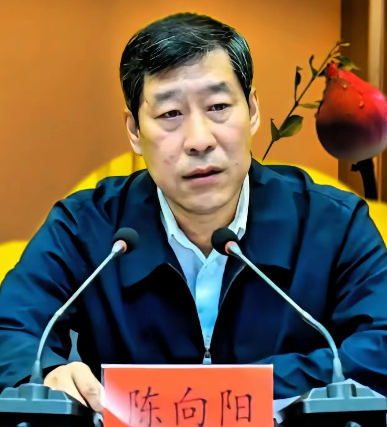 陈向阳的决定摁不住了官圈里全都说他可惜了。陈向阳辞职了，长治街头巷尾不少人都