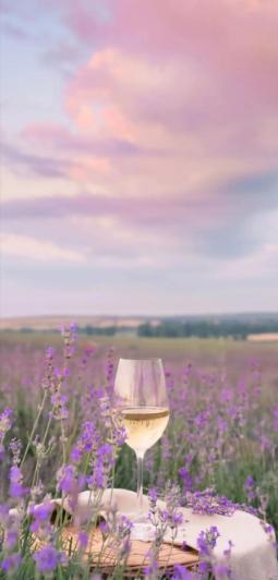 很喜欢申公豹这段话：“为什么替别人考虑？谁又为我考虑过？都是第一次做