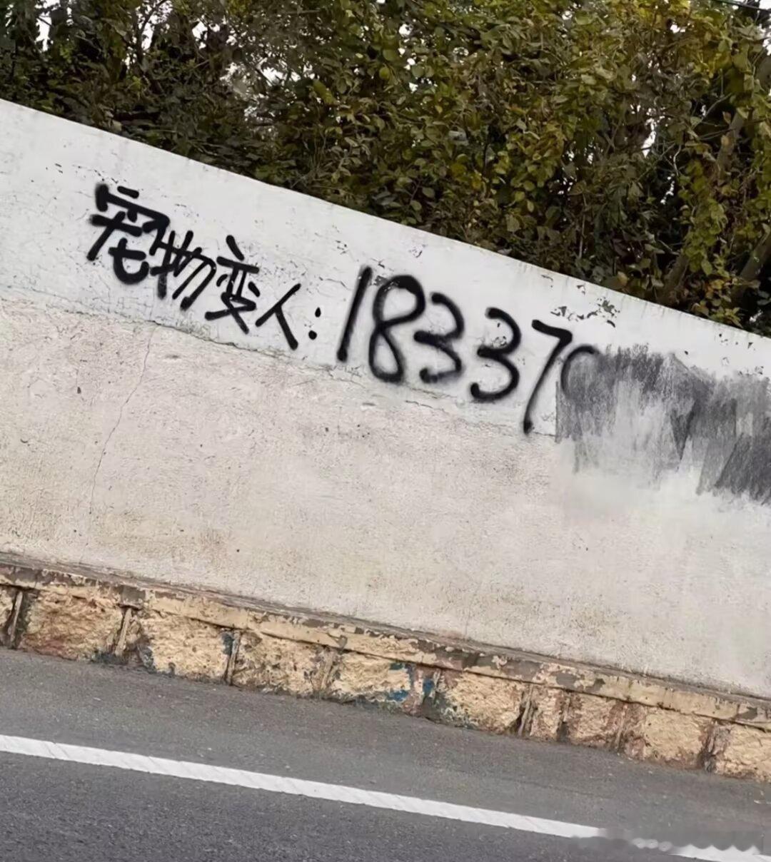 3467还有第三集👍