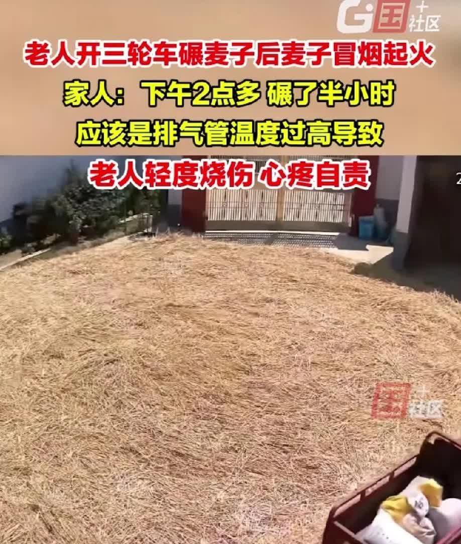 怎么能不心疼，这可是粮食！陕西汉中，下午2点大爷开着三轮车在家里碾麦子，碾了