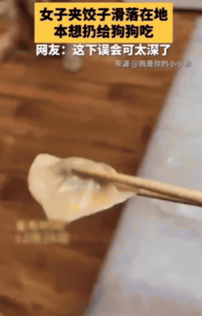 笑不活！山东，女子夹饺子滑落在地，本想扔给狗狗吃，结果，狗狗怕弄脏了地板，赶紧去
