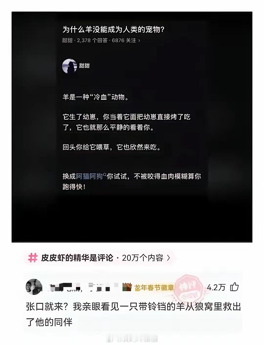 为什么羊没能成为人们的宠物​​​