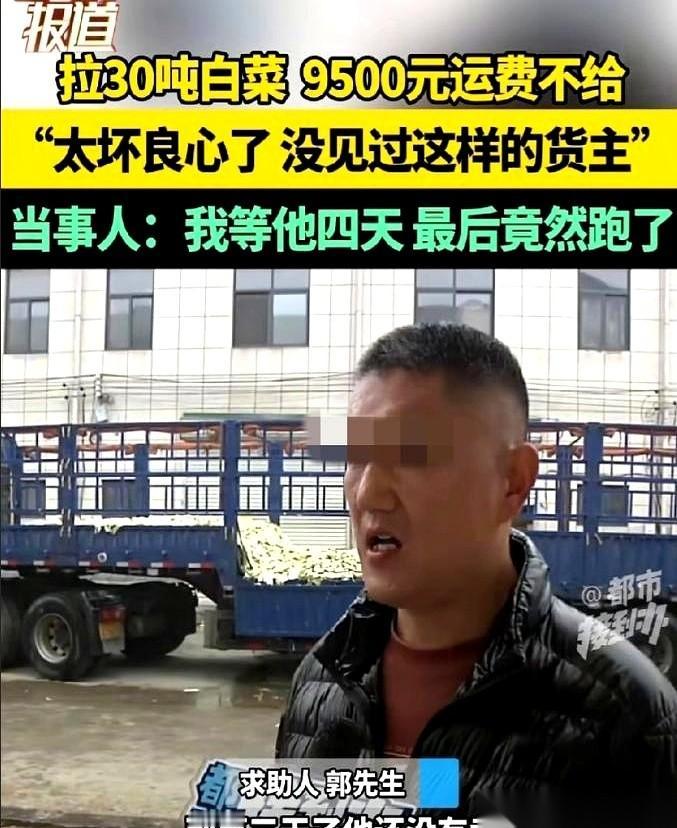 货主说：我这车白菜才卖了7000，亏了，运费9500只能给一半。司机大哥直接掏