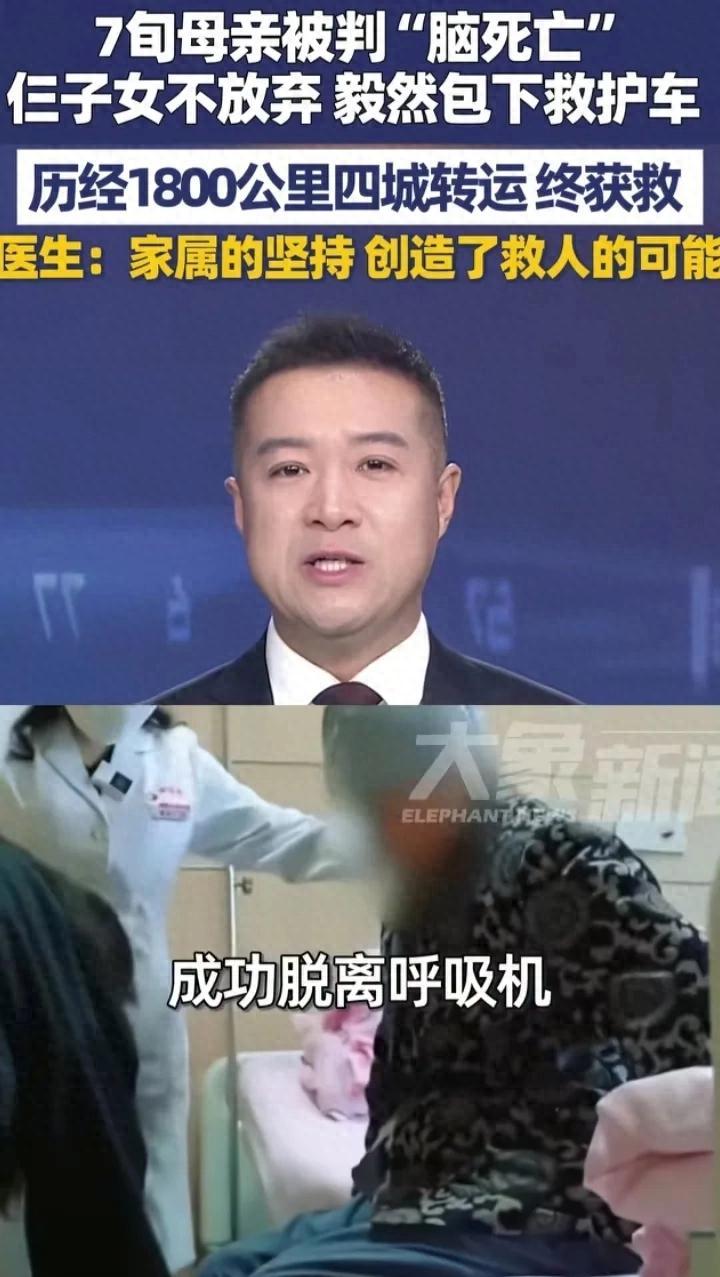 泪目！11月25日报道，甘肃一7旬老人被判“脑死亡”，可子女不信邪，花4万包了辆