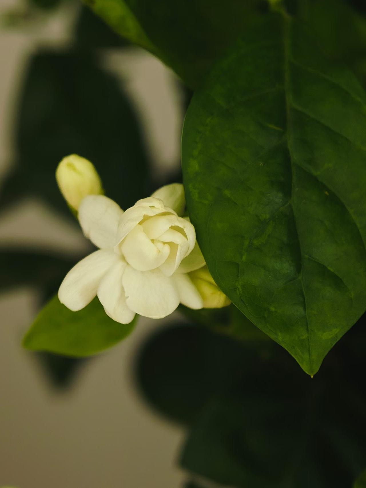为什么现在的人都不愿花钱了？不是大家突然“变抠了”，而是从“敢借钱、敢消费