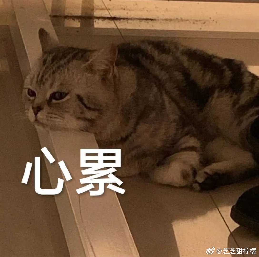 当家电外通风口出现鸟窝行吧，咱也是沉浸式免费养鸟的人了～前几天总听见墙外叽叽喳喳