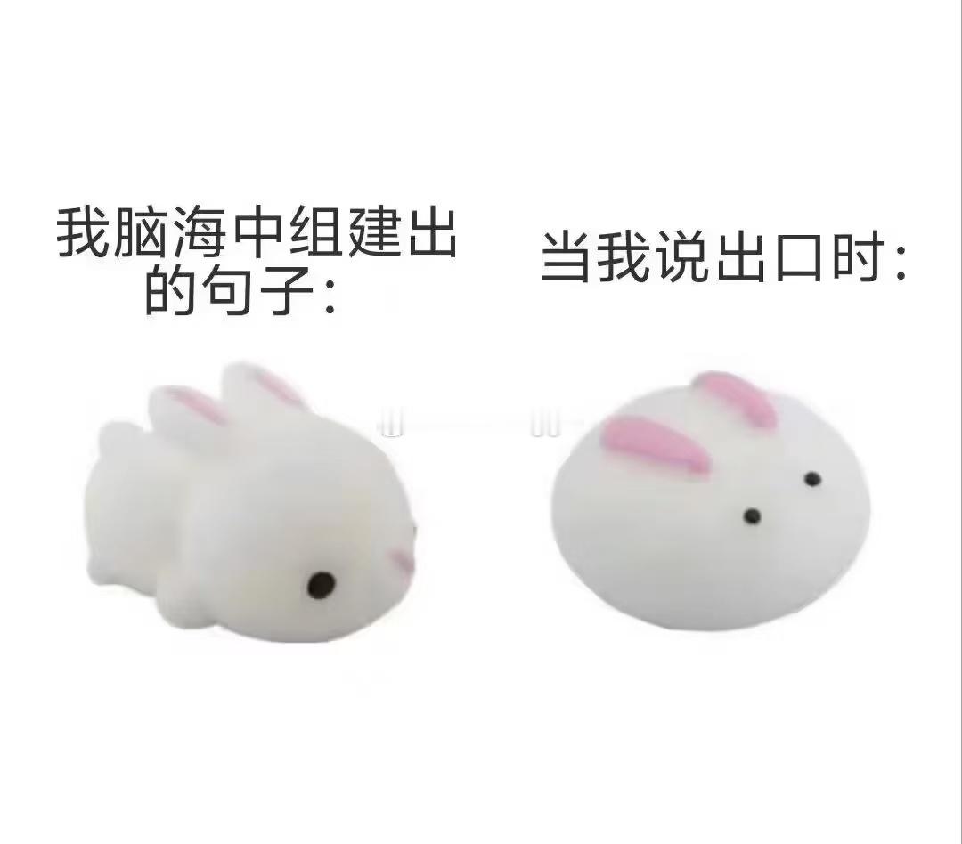 我语言表达能力：