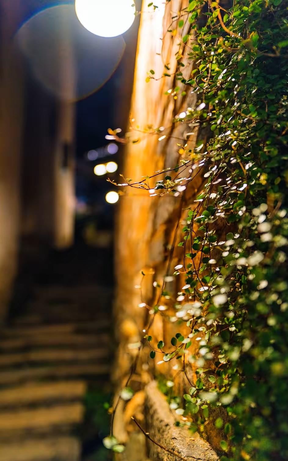 我的中医老师，九十岁无疾而终。临终前我去看他，他已不能言，只颤巍巍拉过我的手，在