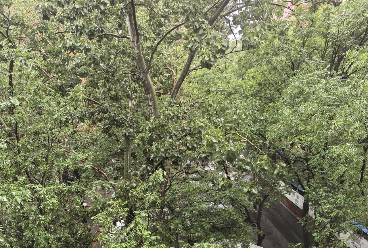 今天北京下雨了，从早上开始淅淅沥沥地就没停过，间歇之中有时下的还挺大。