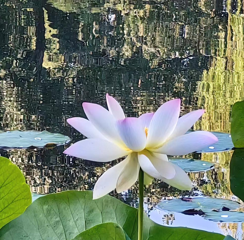 表妹的一场大病，让我对以后的生活有了重新的规划。表妹是前年体检时发现的卵巢癌，