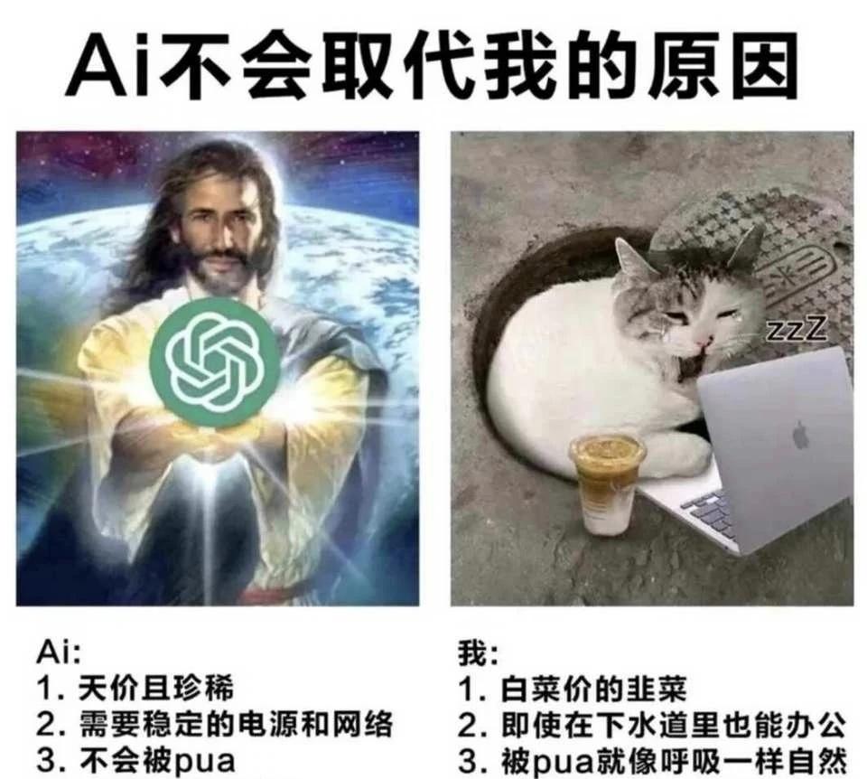 meme图第四十三期梗图此图有梗