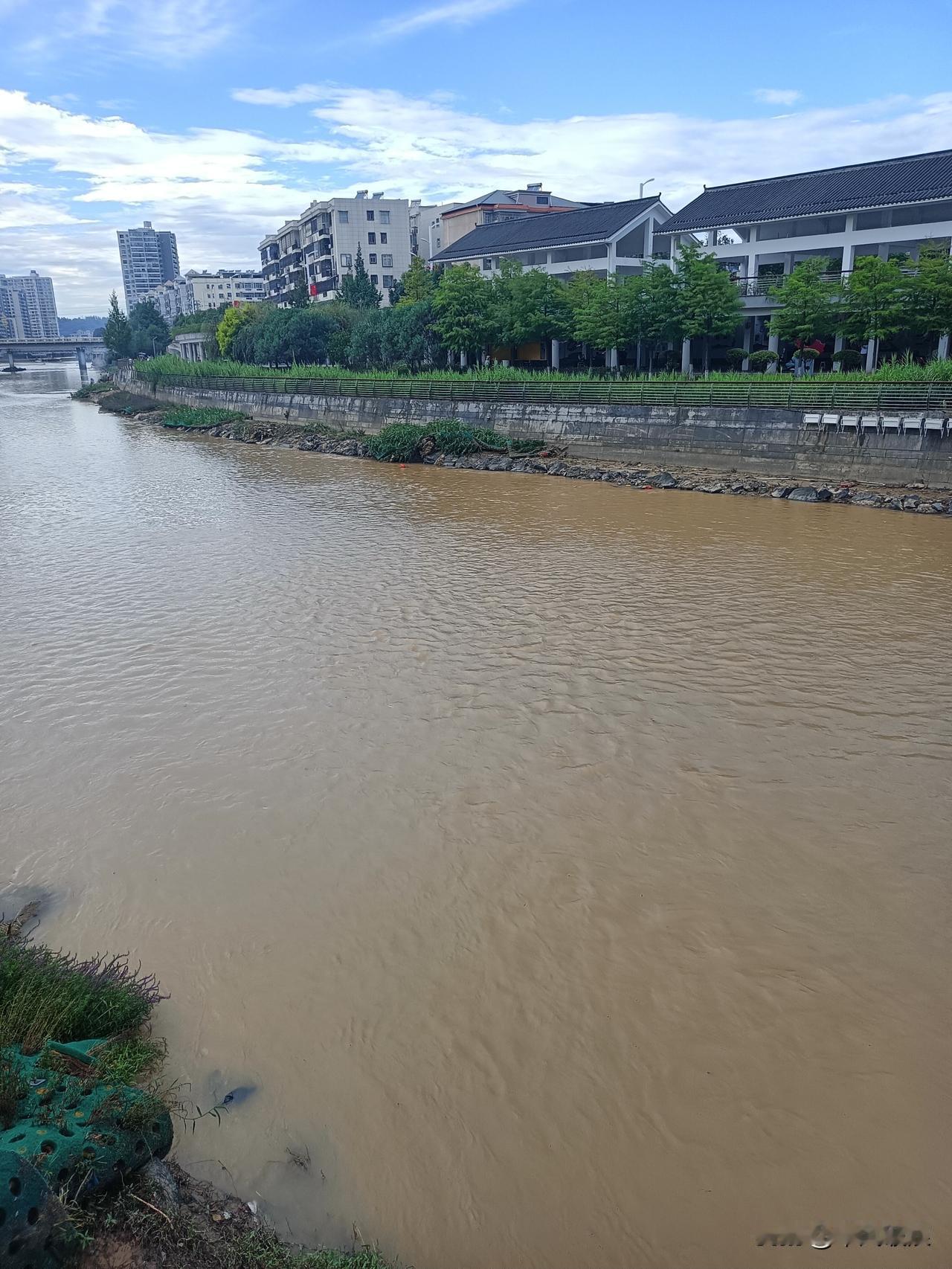 连续下了一周的雨，今天9月4号又还下雨，河水爆长，两边种的花草被冲散，几乎报废。