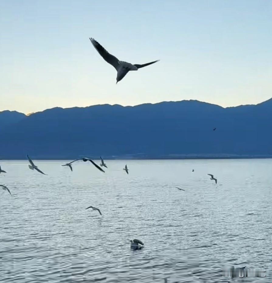 什么样的人不值钱！随叫随到过度付出太好说话不懂拒绝讨好别人没有主见