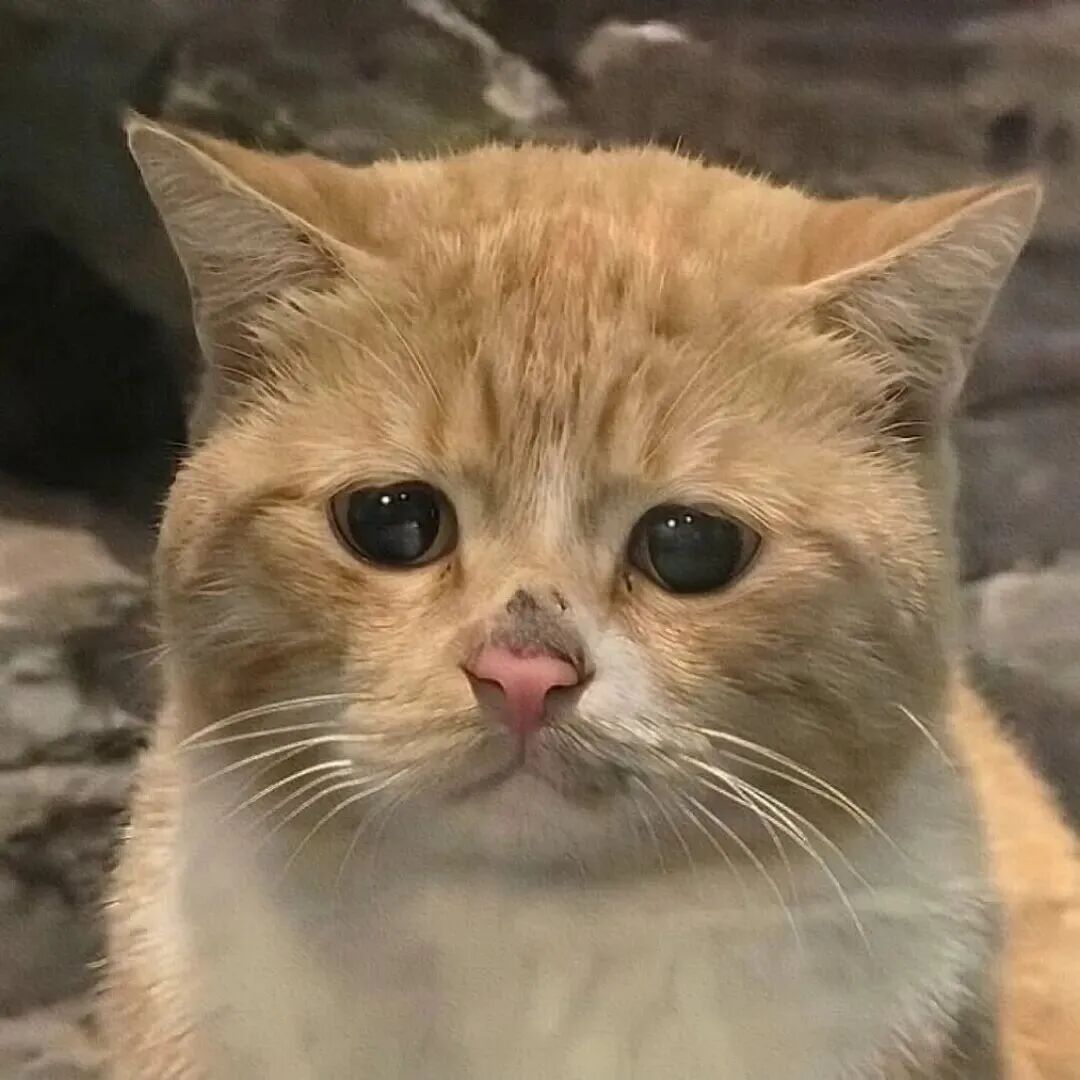 头像​​​