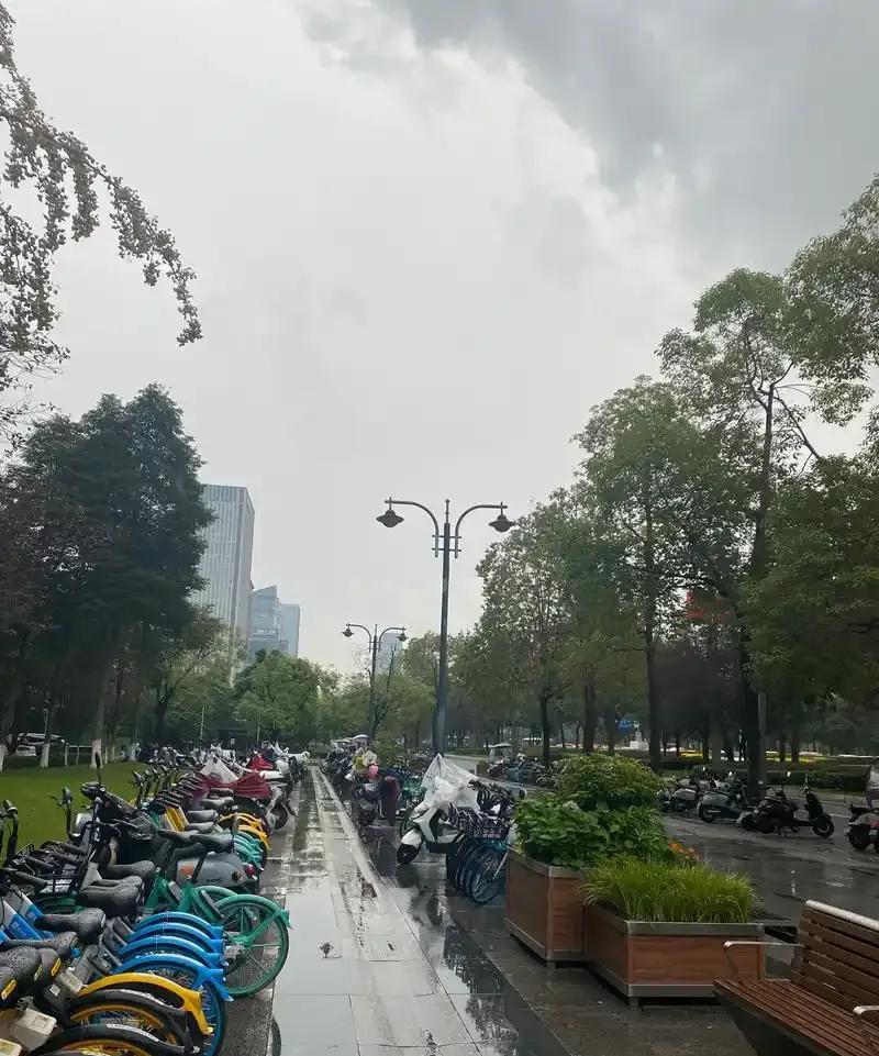 下了，真的下雨了！成都这回天气没撒谎，没食言，和预报的几乎一样，算是比较准确的一