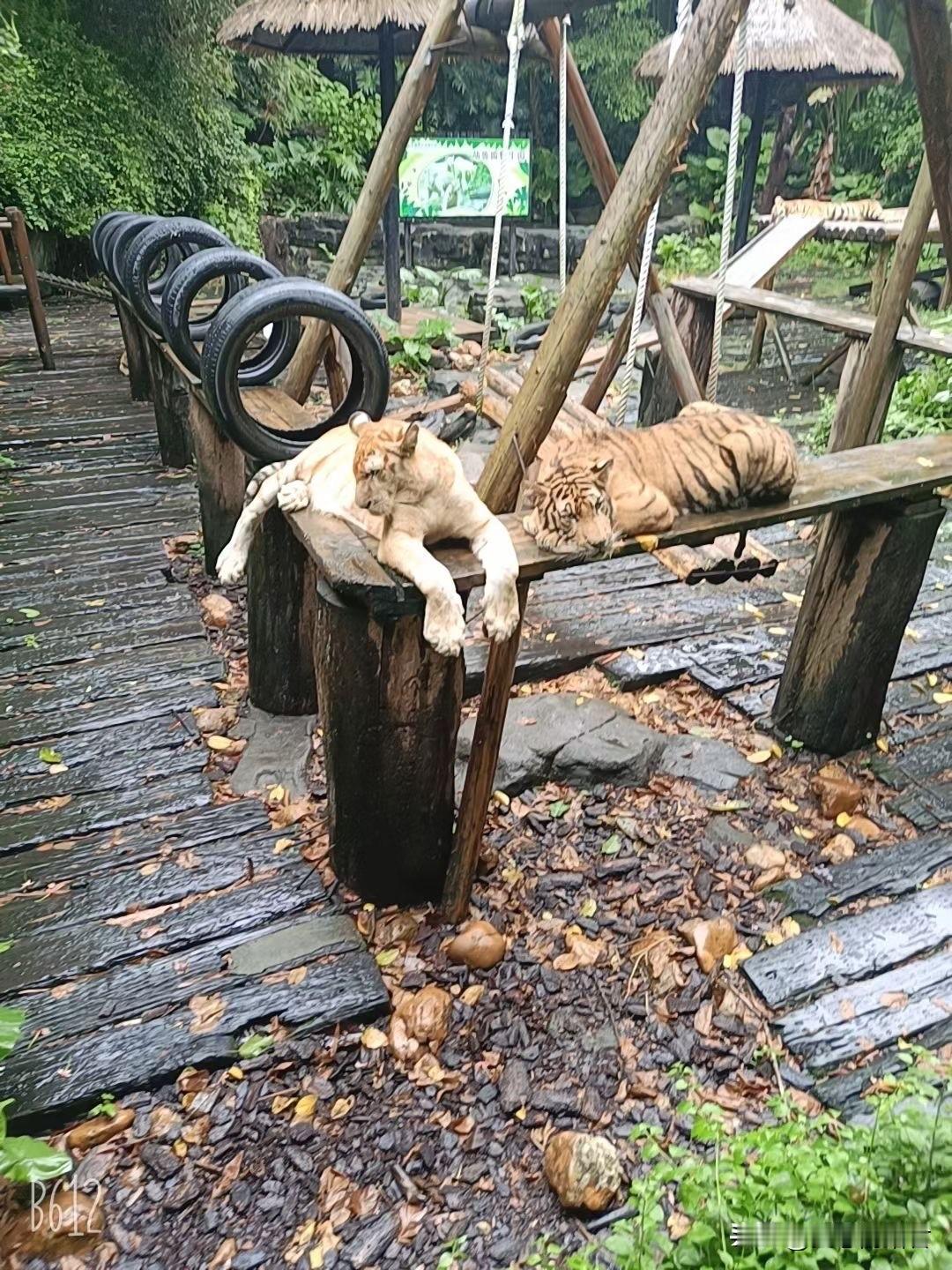 不是自己的孩子，最好不要去争夺抚养权。一女子，43岁了，离异带着一个女儿，嫁给现