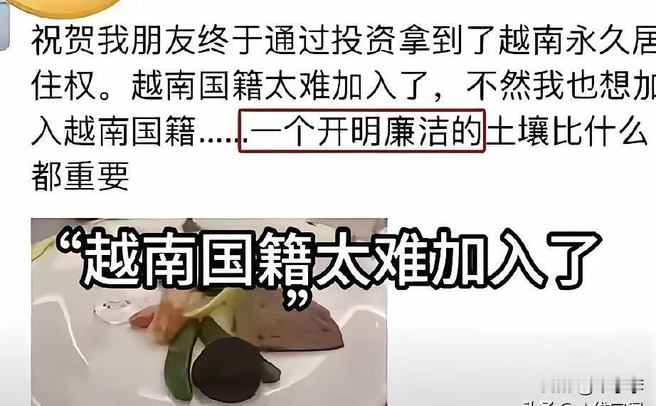 别的不说，越南的伙食简直一言难尽，他们做煎鱼是不开肚子也不挖鱼鳃的。全国主食，平