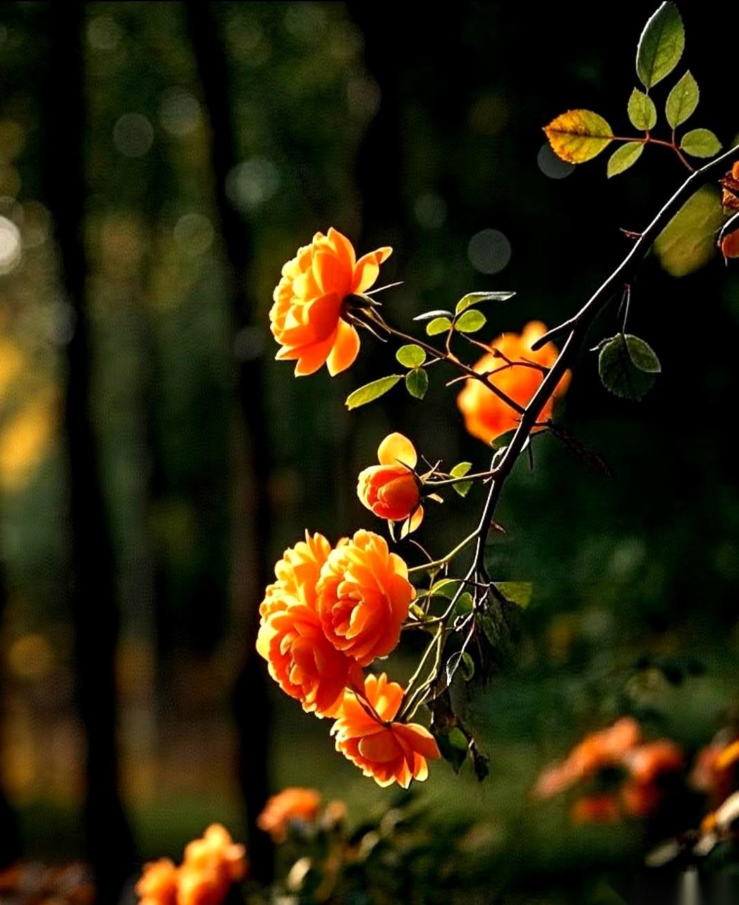 我跟你说，人老了最怕的，不是生病，不是走不动道。是伸手。是不得不跟子女开口要