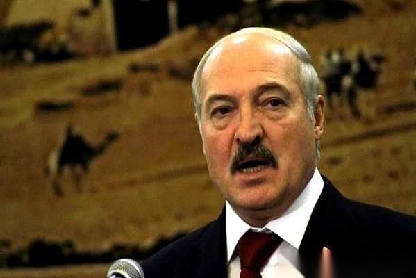 答应了，但不给钱。这操作，绝了。老卢一拍桌子，说老特你那个“和平委员会”，我