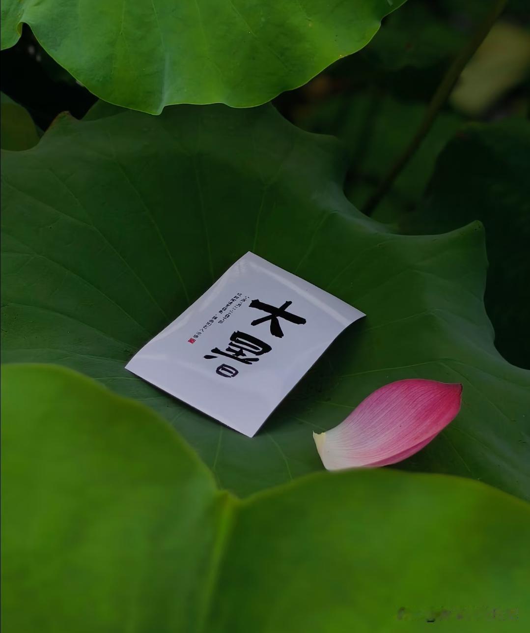 大暑湿气最重！这5件事千万别做，伤脾又伤身7月23日大暑到，一年里最湿最热的1