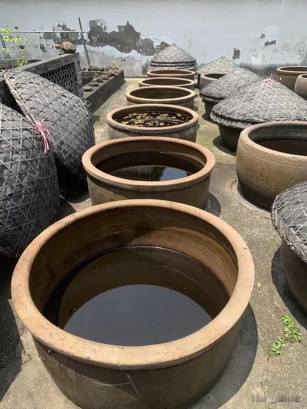 我老公不吃醋。说来你们可能不信，但他就是不吃醋。只要我老公在家，我家从不买醋，
