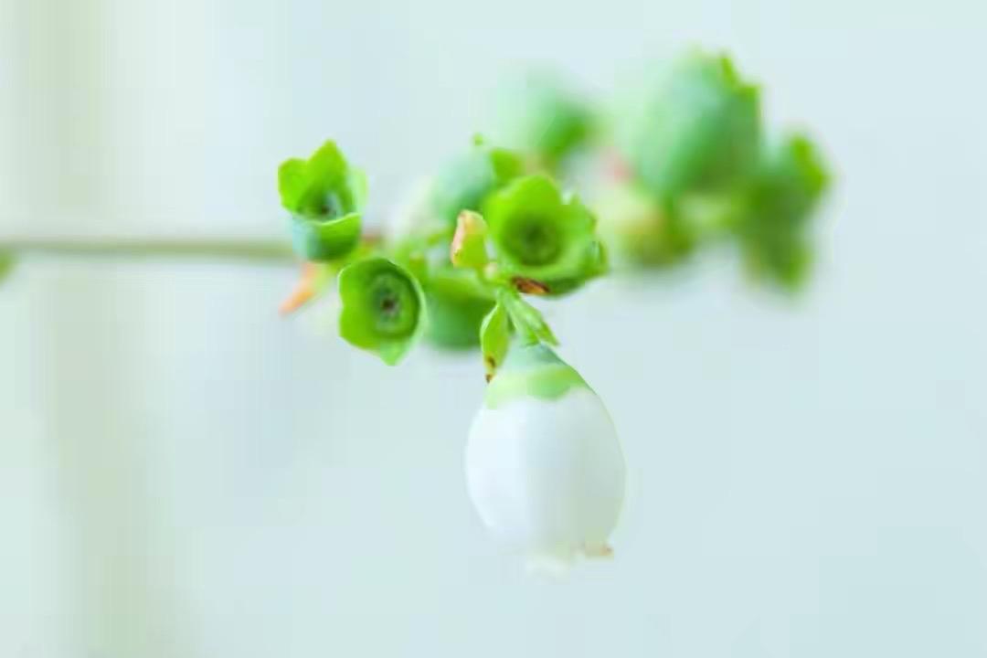 夫妻之间，这样的相处，就是在互相折磨，早分开早轻松。说出这句话的时候，或许很多人