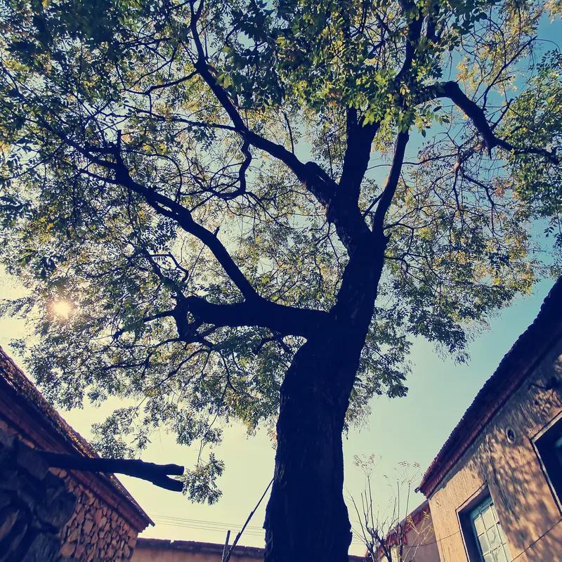 中国鬼故事能不能更雅致点呢？其实有不少故事已经有雅致的潜力。像百集系列民间鬼怪故