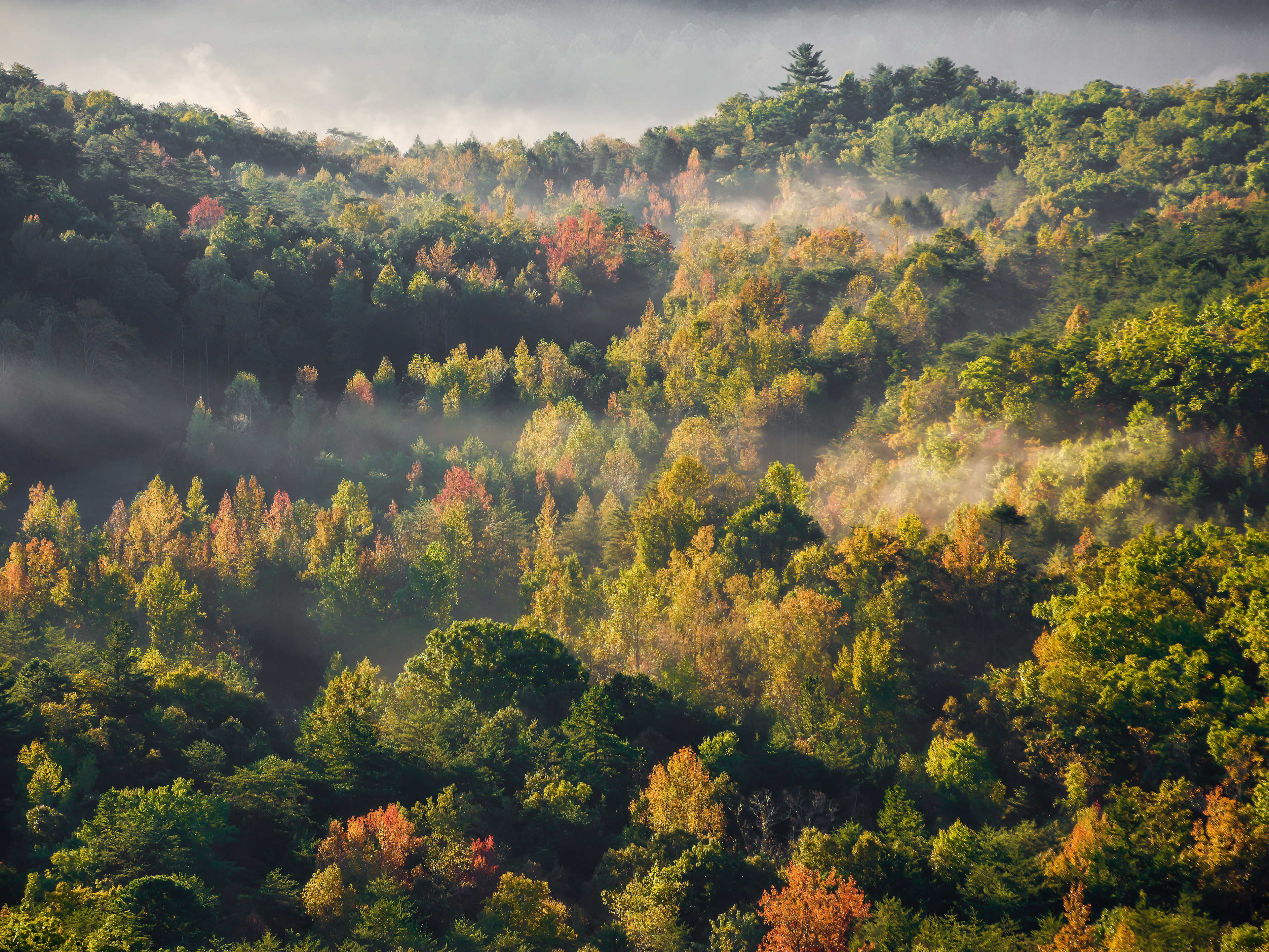 人其实也跟植物似的，找到适合自己生存的土壤环境，才能枝繁叶茂，才能硕果累