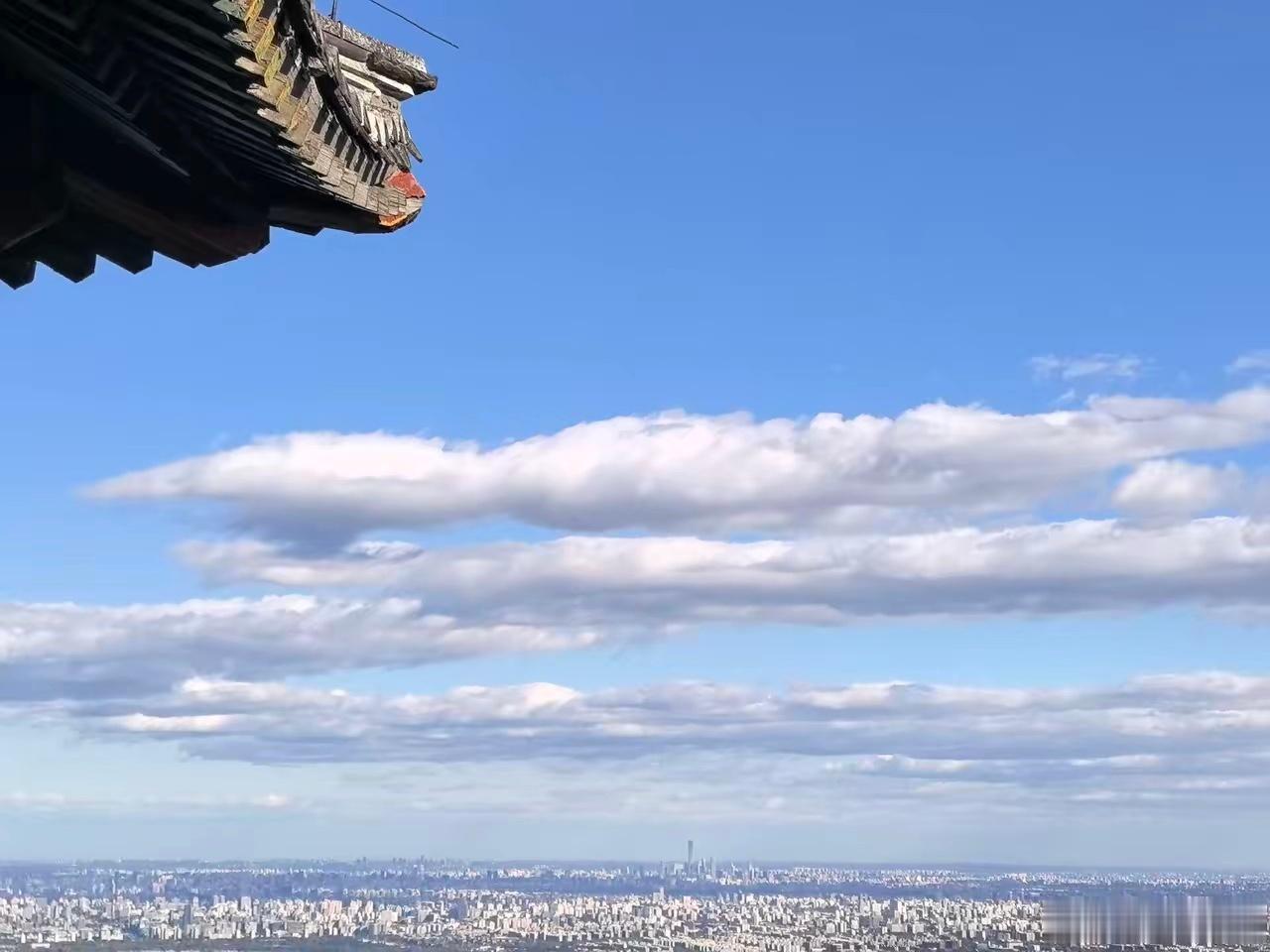 电诈给我们造成的损失上万亿。说实话，像缅北的四大家族，听上去这名头好像很唬人，但
