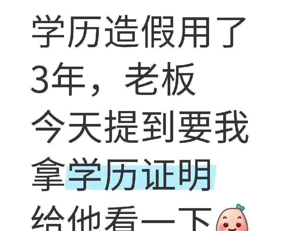 【浙江网友学历造假3年！老板突然要查证，自考本科无学籍慌了神】“用了3年没翻车