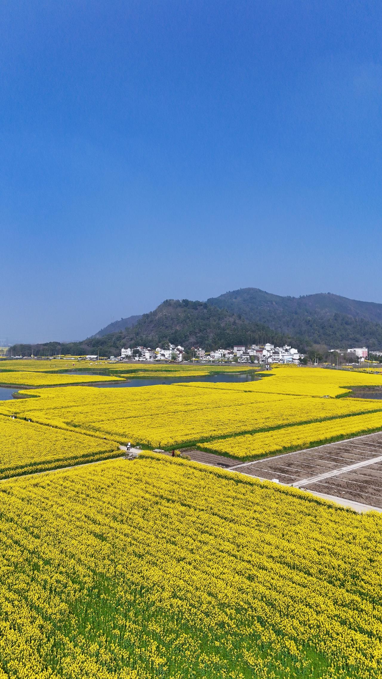 昨天和一位南师附中高三学生的家长聊了聊，他们家孩子成绩其实挺不错的，但这次一模考
