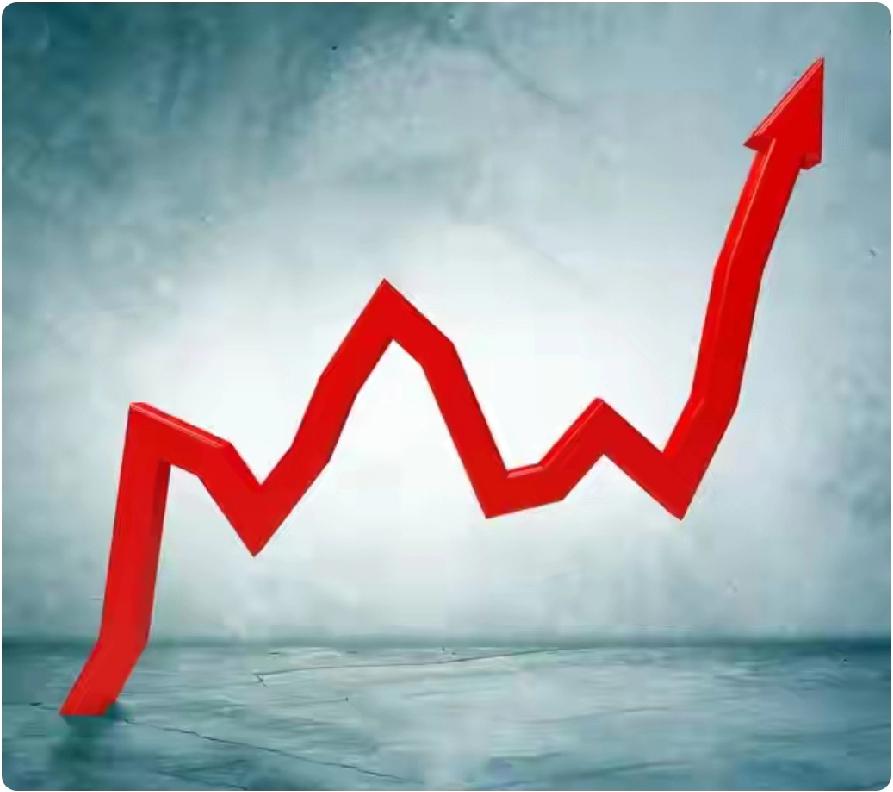 打击财务造假、内幕交易等恶劣违法行为，这个我坚决支持！打击过度炒作，这个有没有一