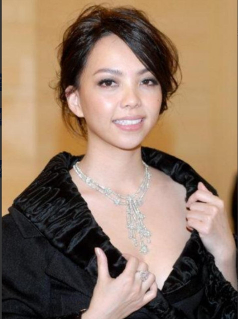 2010年，37岁的张惠妹对31岁的酒吧调酒师一见钟情，她为他砸下1500万，决