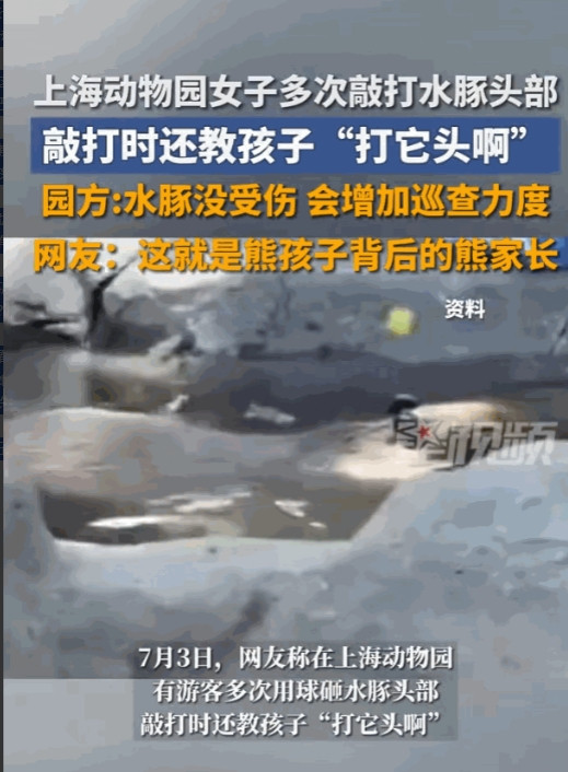 必须严惩！”7月3日，上海，一女子带着孩子到动物园里游玩，谁知却用球多次打砸水豚