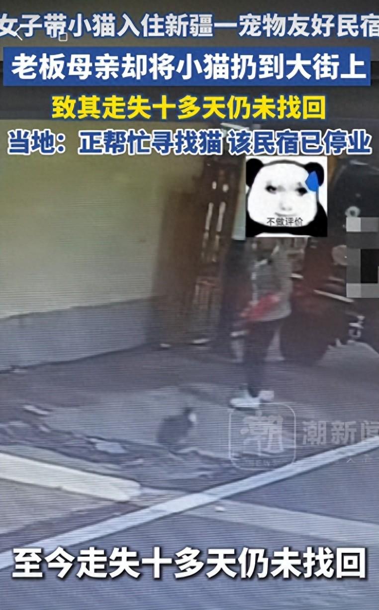 6月24日法治进行时报道，新疆那拉提，一名女游客带着自己养了8年的猫咪出行游玩，