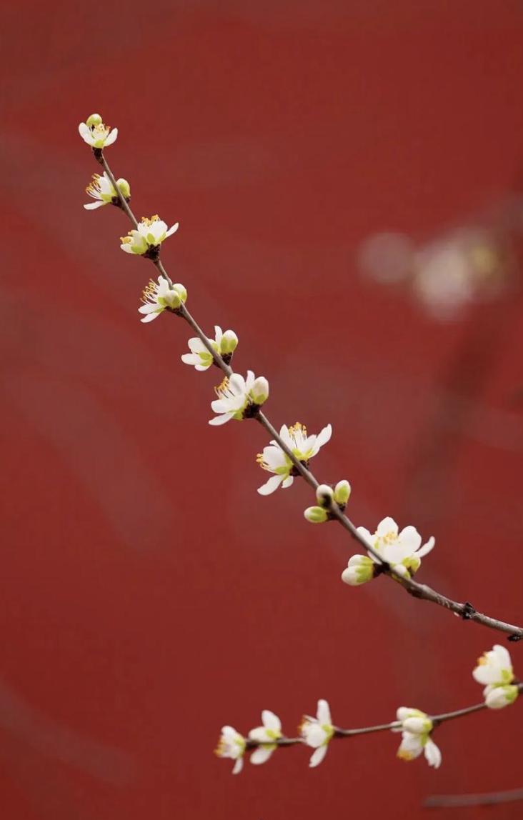 道家有句狠话，叫“锦衣照人心，破衣镇鬼神”你若发了财，听我一句：千万别衣锦还